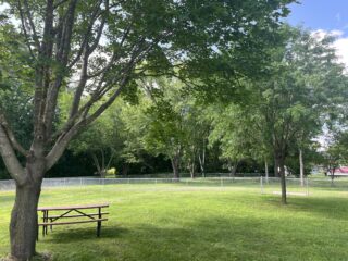 Img 4108 - City Of Wabasha