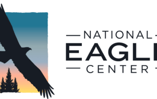 Nec Logo Horz Black - City Of Wabasha