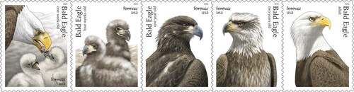Us Postal Service - City Of Wabasha