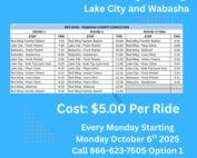 Wabasha County Connection Flyer - City Of Wabasha